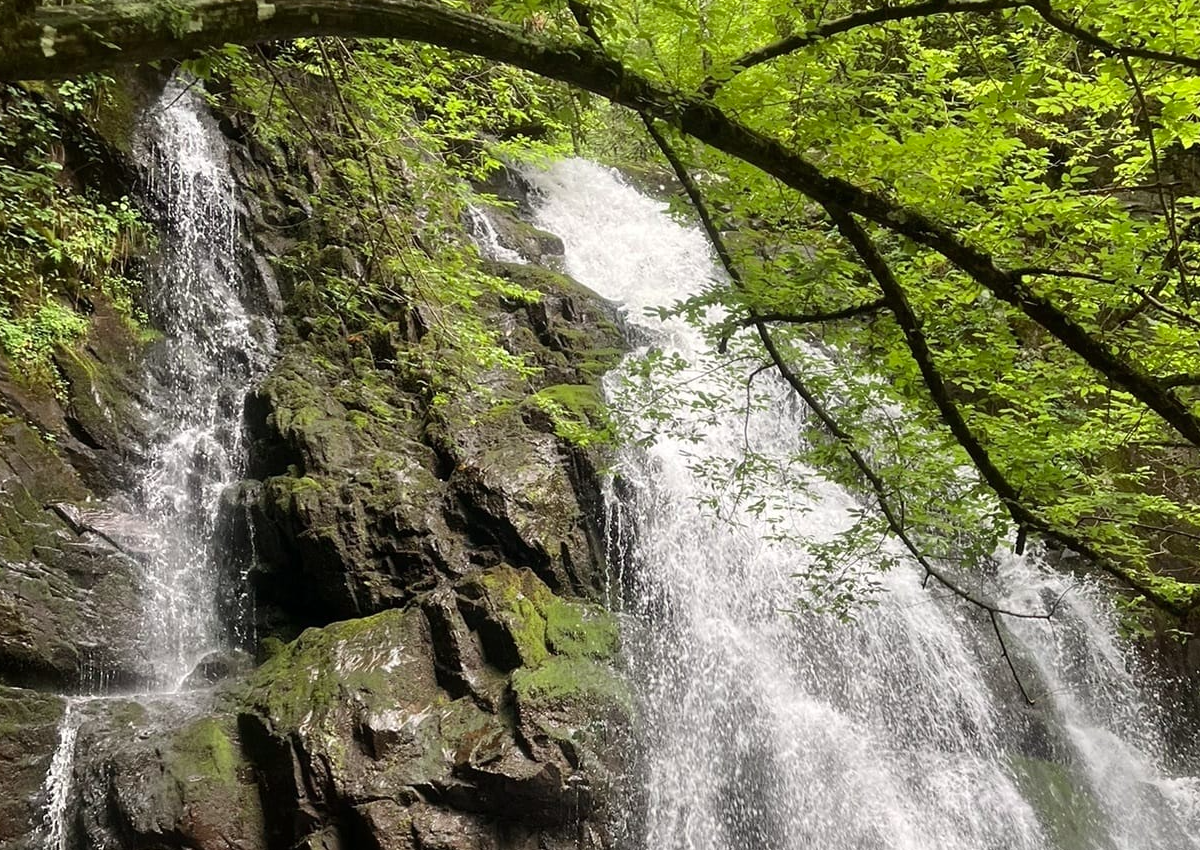 Top Waterfall Hikes Near Gatlinburg, TN You’ll Want on Your Radar Blog Article